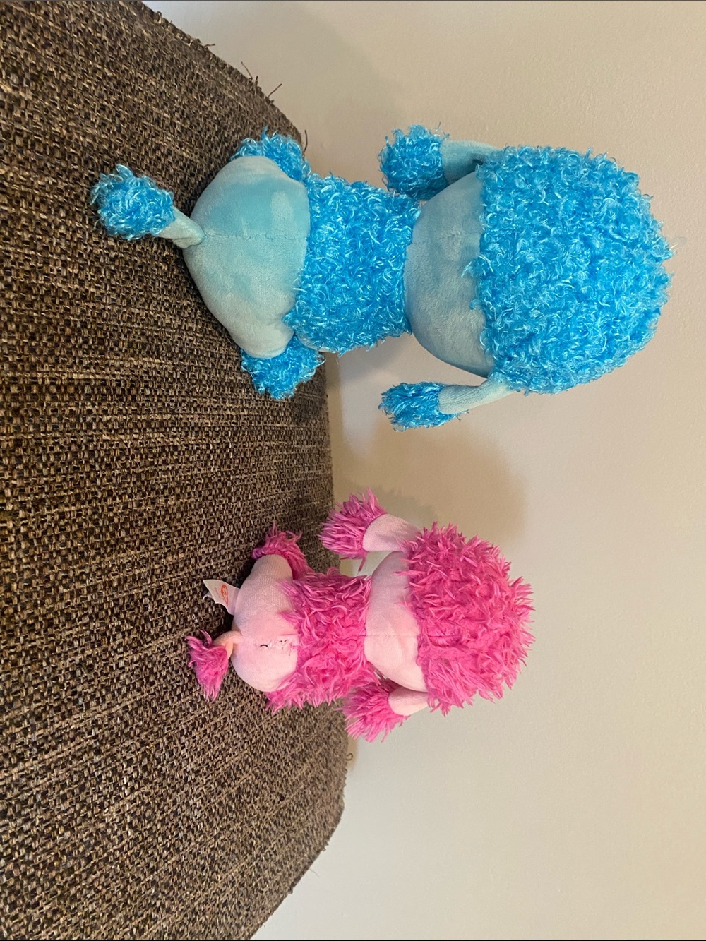 Big Mandy & Little Patsy - Picture 3 of 4